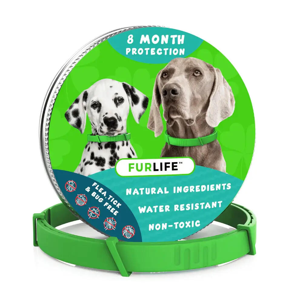 FurLife Flea & Tick Collar for Dogs