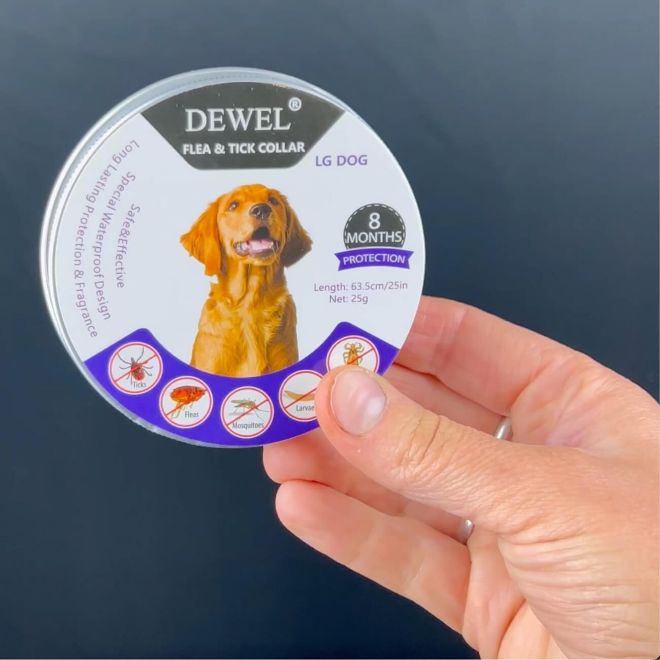 Seven Years of Dog Owners Who Found the Answer and Never Looked Elsewhere Again